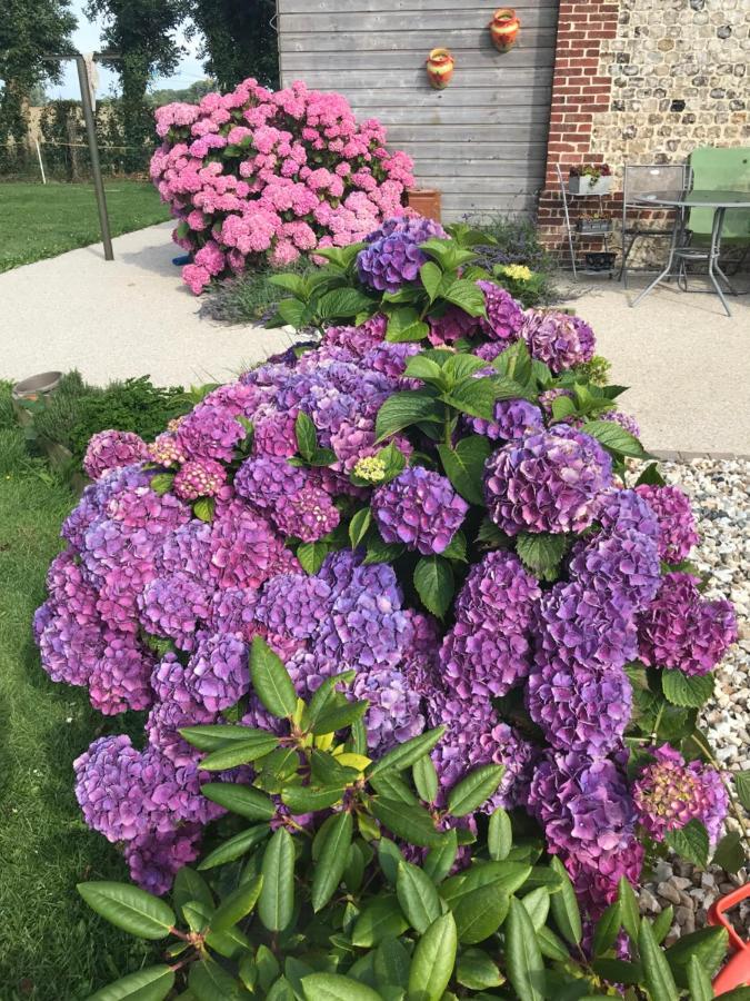 La Grange Aux Hortensias Thiergeville Dış mekan fotoğraf