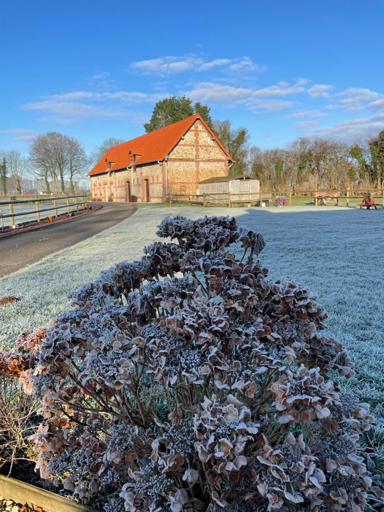 La Grange Aux Hortensias Thiergeville Dış mekan fotoğraf